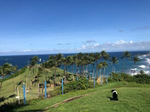 Apartment in Ondina, Carnival Circuit, Luxury