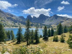 Chalets Chalet Le refuge : photos des chambres