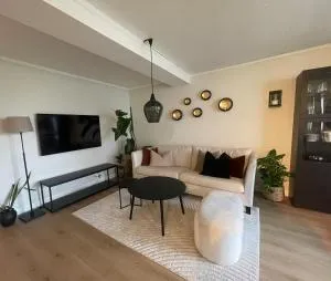 Newly renovated apartment for rent - Meråker