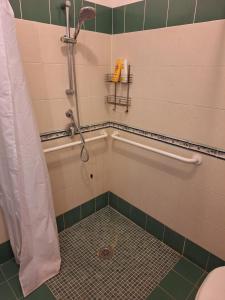 Apartamento de 1 dormitorio (2 adultos)