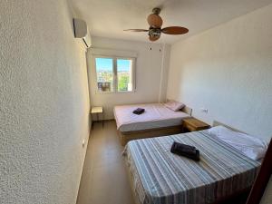 Apartment by the sea in La Zenia