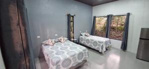 Apartamento Bosque Encantado 2