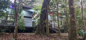 Apartamento Bosque Encantado 2