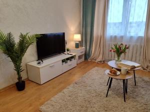 Narva Vahtra Apartment