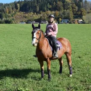 Kerschdorferhof - Erlebnisbauernhof - 斯尔尼茨