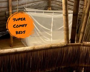 Blue Dot - jungle eco hostel