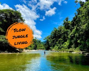 Blue Dot - jungle eco hostel