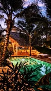 Nuevo NAYAL - Mérida