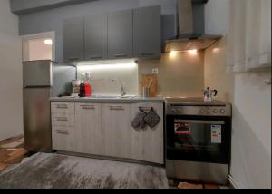 Niki Thalia Viros Apartment 1