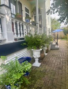 Centrally Located Garden Cottage