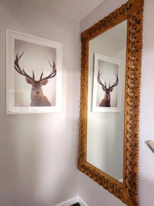 Warm & Cosy Home in Glasgow