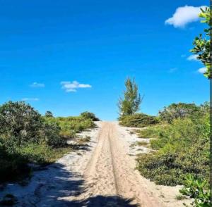GOLDEN LAKE - ARRAIAL DO CABO perfeito