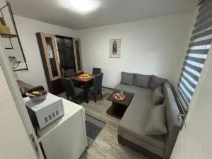 Apartman Dragićević - Stan na dan - Bogatić