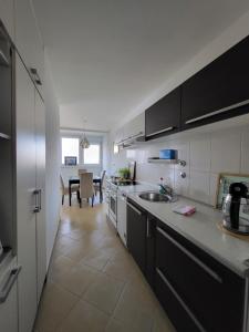 Dolly Apartment Airport