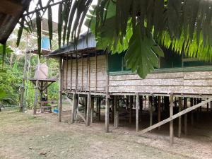 Explorer Iquitos