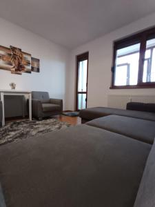 Zlata Ultracentral Home 24t6