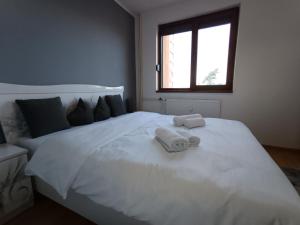 Zlata Ultracentral Home 24t6