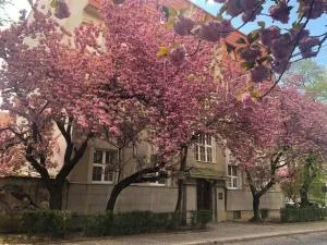 Апарт-отель "ГАЛАГОВЪ" - 乌日霍罗德