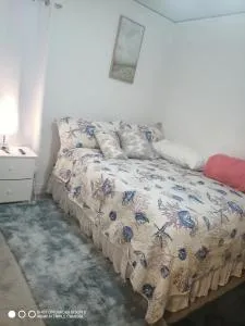 Huge Historic Home - Hazel Park