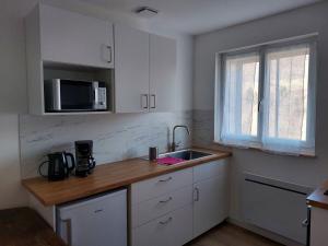 Appartements Appartement en plein coeur du Massif du Sancy : Appartement 1 Chambre