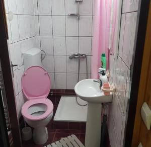 Apartament Casa cu Flori de Munte