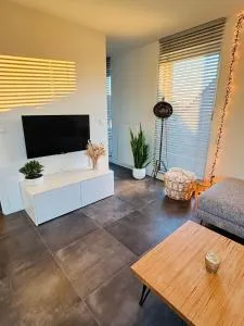 Penthouse with big terrace - Grimbergen