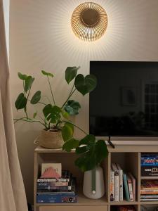 The Shades - Bliss In The Heart of Windermere