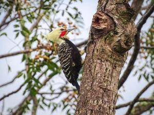 Atelier que virou um Loft em florianopolis