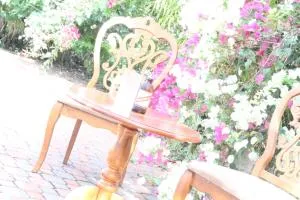 Sweetsop Jamaica Villa and Tours - Falmouth