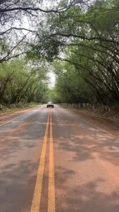 Residencia Borges - Tunel Verde - J. D. Ocampos