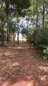 Residencia Borges - Tunel Verde