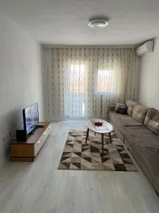 Apartment Dastidi - 米特罗维察