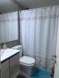 Cómodo Departamento en Santiago