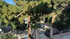 AC GOLD B&B Boutique Rooms & Suite