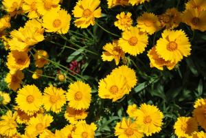 Agriturismo Su Barraccu img67