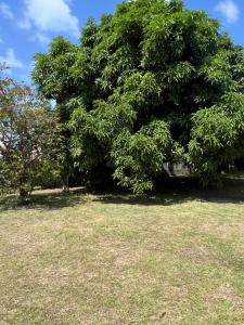 Entire Home - West Coast Barbados