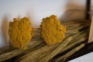 Apartment of Comfort