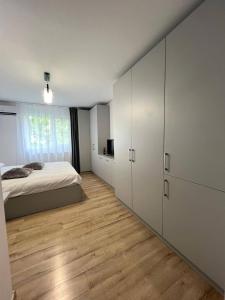 Apartment of Comfort