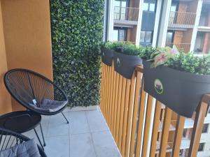 Rojal LUX apartman 640