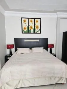 Departamento Endodent - Arandas