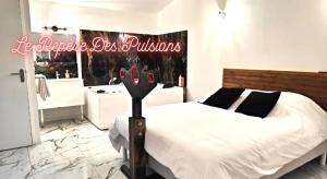 Villas Maisons Plaisir & Pulsion Spa Sauna Prive : photos des chambres