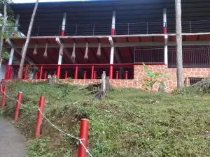 Hostal la Gran Ceci - 米卡