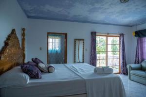Sweetsop Jamaica Villa and Tour