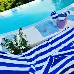 Sweetsop Jamaica Villa and Tour