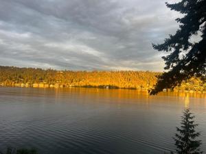 Lakefront retreat by Marymoor, Microsoft, Bellevue, Redmond