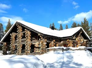 Snowflake - stylish chalet in Levi, Finland