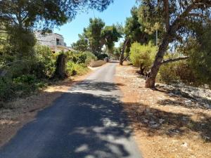 Seaside holiday house Maslinica, Solta - 23755