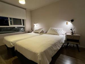 Cozy apartment in Ñuñoa