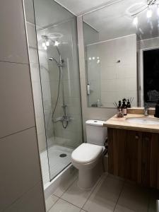 Cozy apartment in Ñuñoa