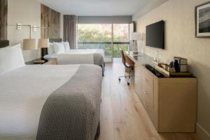 Guest Room, 2 Queen Beds  room in Hotel Paradox Autograph Collection